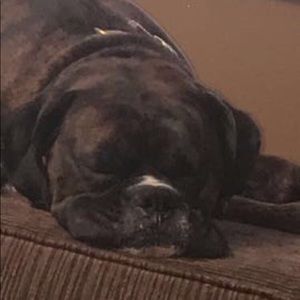 Meet your Posher, Wade